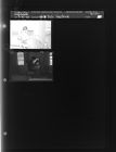 Deb feature (2 Negatives (August 30, 1960) [Sleeve 87, Folder d, Box 24]